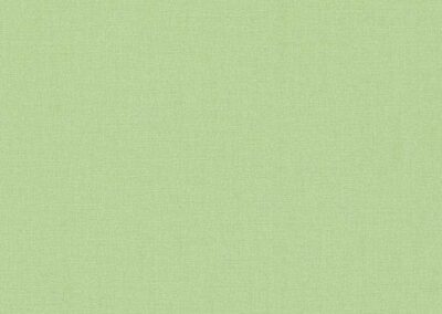 Menthe